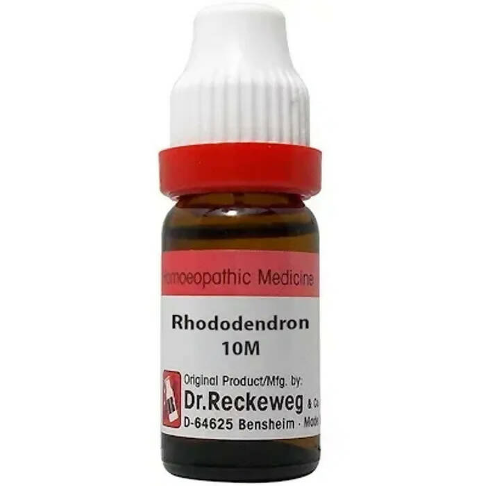 Dr. Reckeweg Rhododendron Dilution