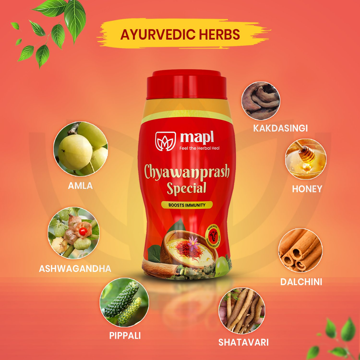 MAPL Chyawanparsh Special