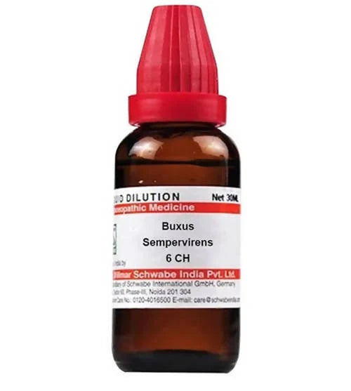 Dr. Willmar Schwabe India Buxus Sempervirens Dilution