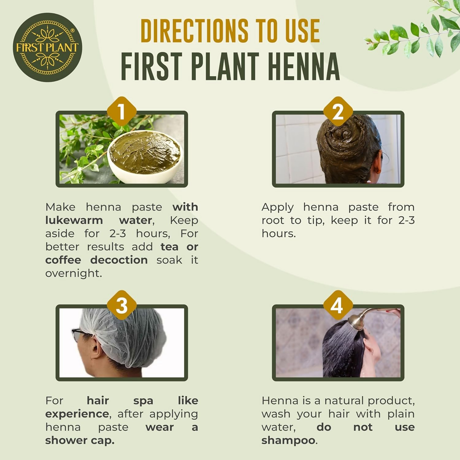 First Plant Premium Rajasthani Henna Powder