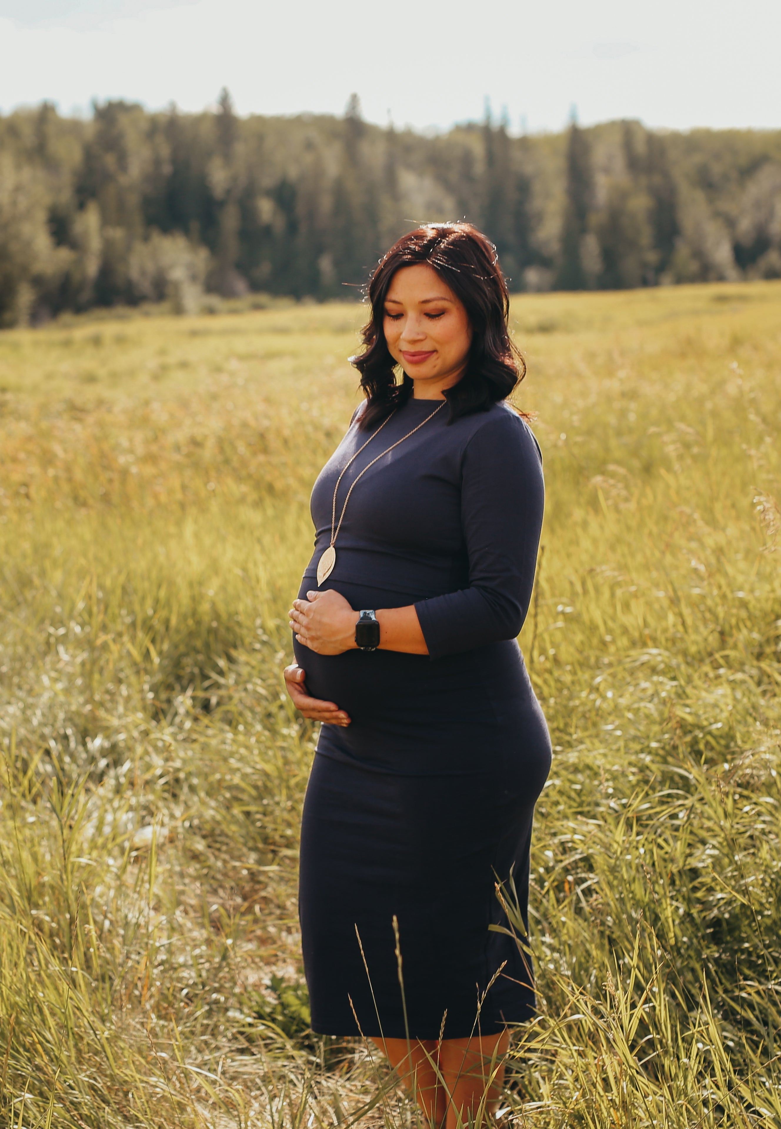 Taryn 3/4 Sleeve Maternity and Nursing Dress
