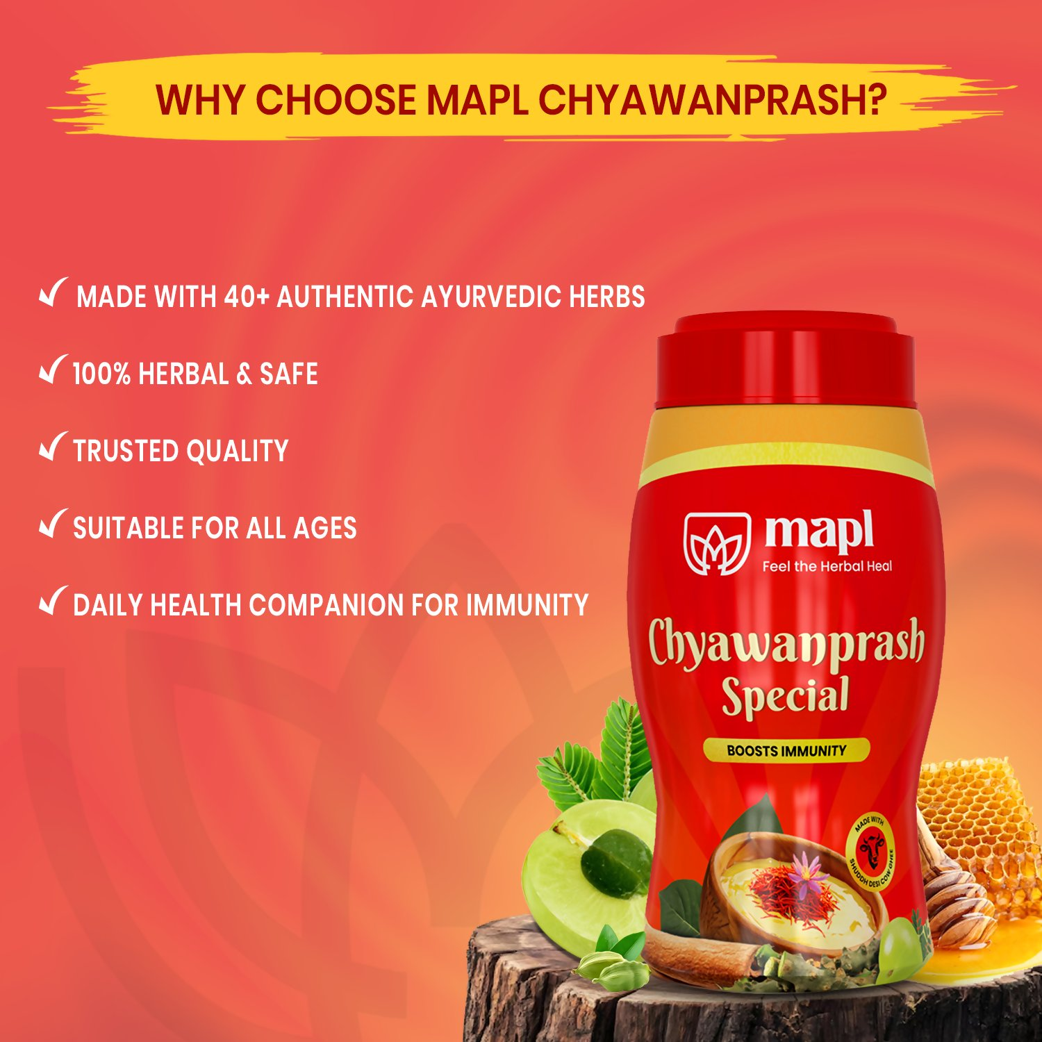 MAPL Chyawanparsh Special
