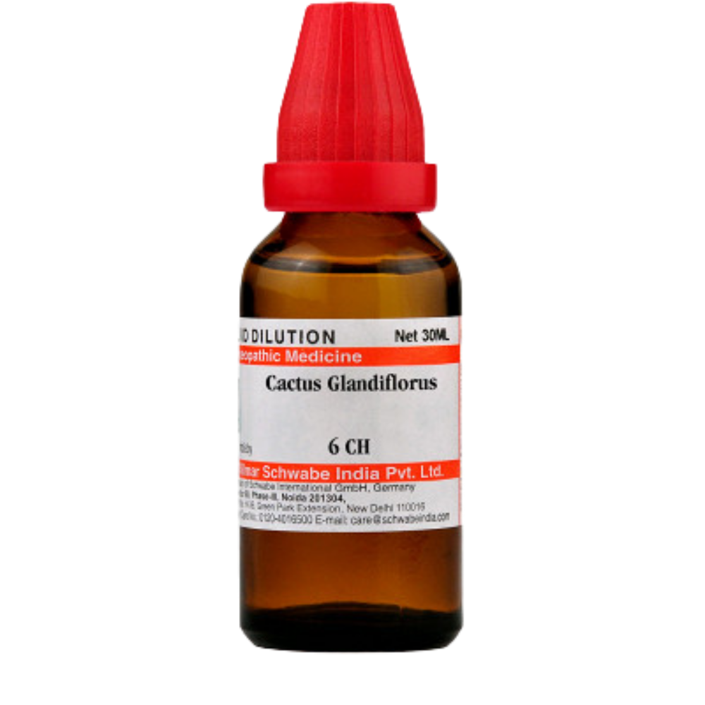 Dr. Willmar Schwabe India Cactus Glandiflorus Dilution