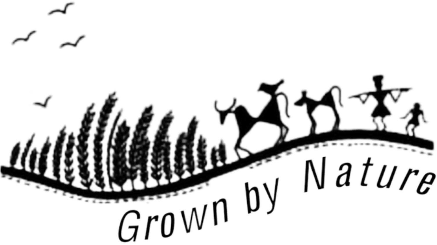 ETHERIC FOODs- Organic, Home Grounded Spices and Special Formulations - Prithvi Mart