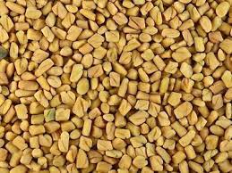 Fenugreek
