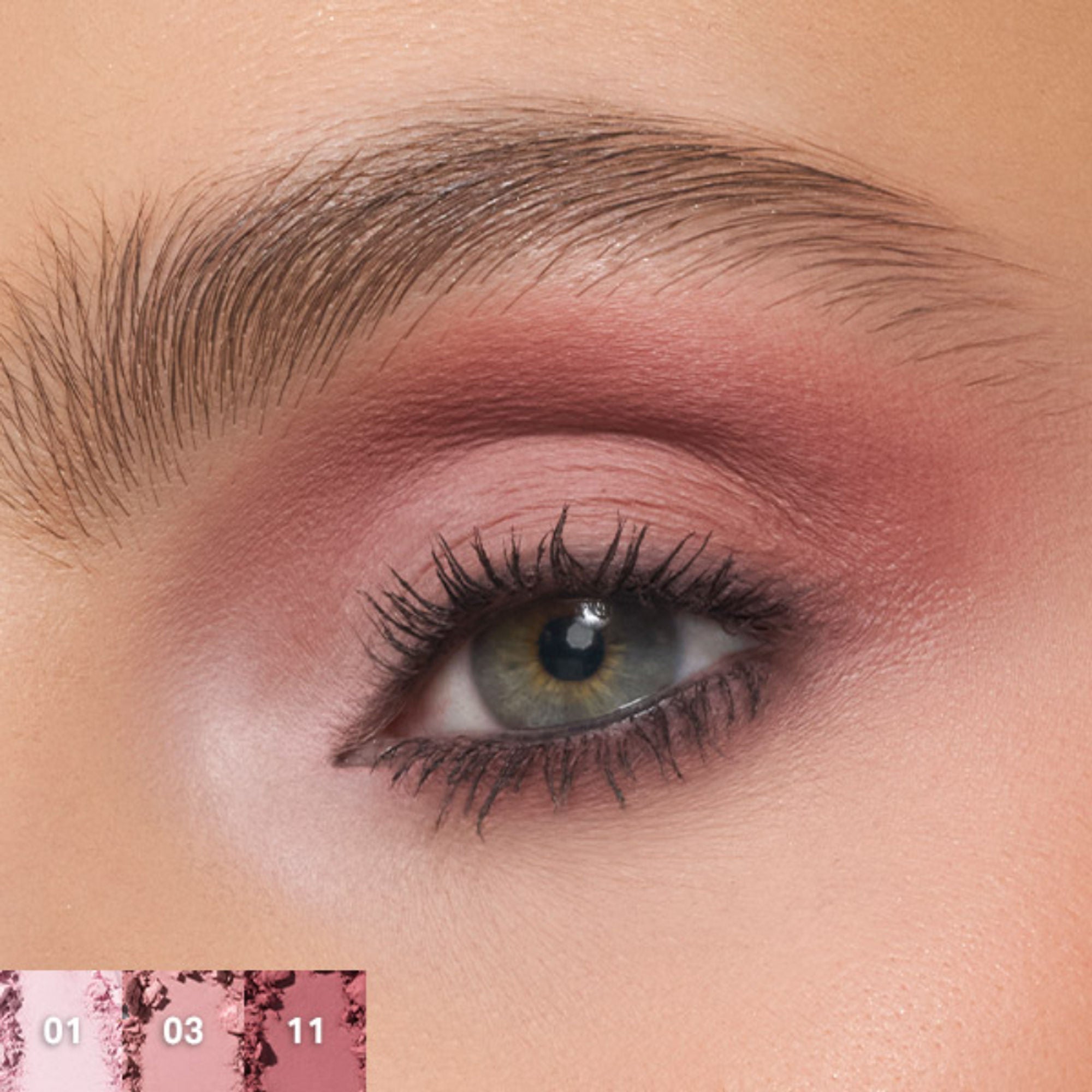 MORPHE Chromaplus 12-Pan Eyeshadow Palette - Rose Frequency