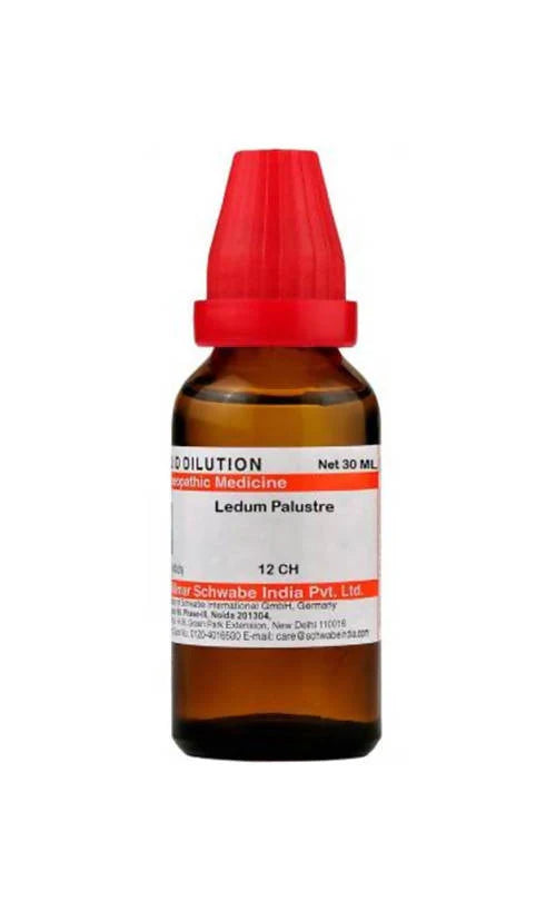 Dr. Willmar Schwabe India Ledum Palustre Dilution