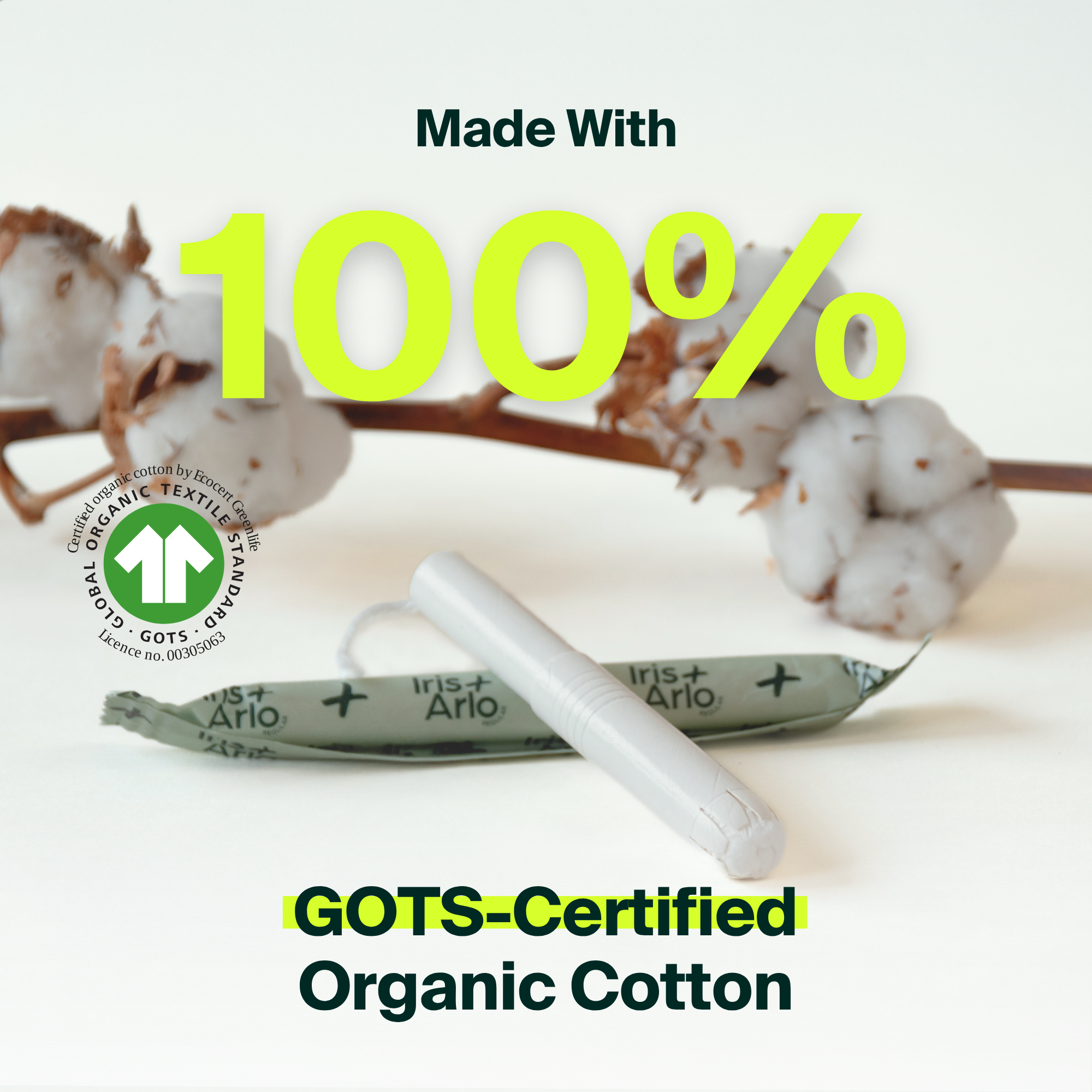 Applicator Tampons, Cardboard Applicator - regular - Bulk (240)