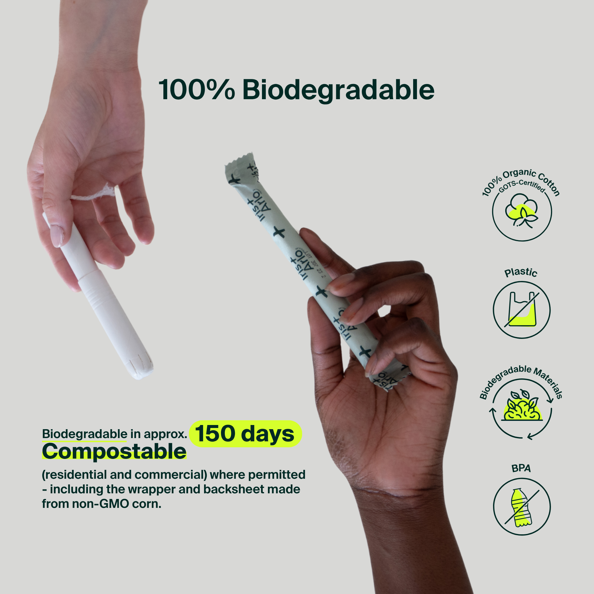 Applicator Tampons, Cardboard Applicator - regular - Bulk (240)