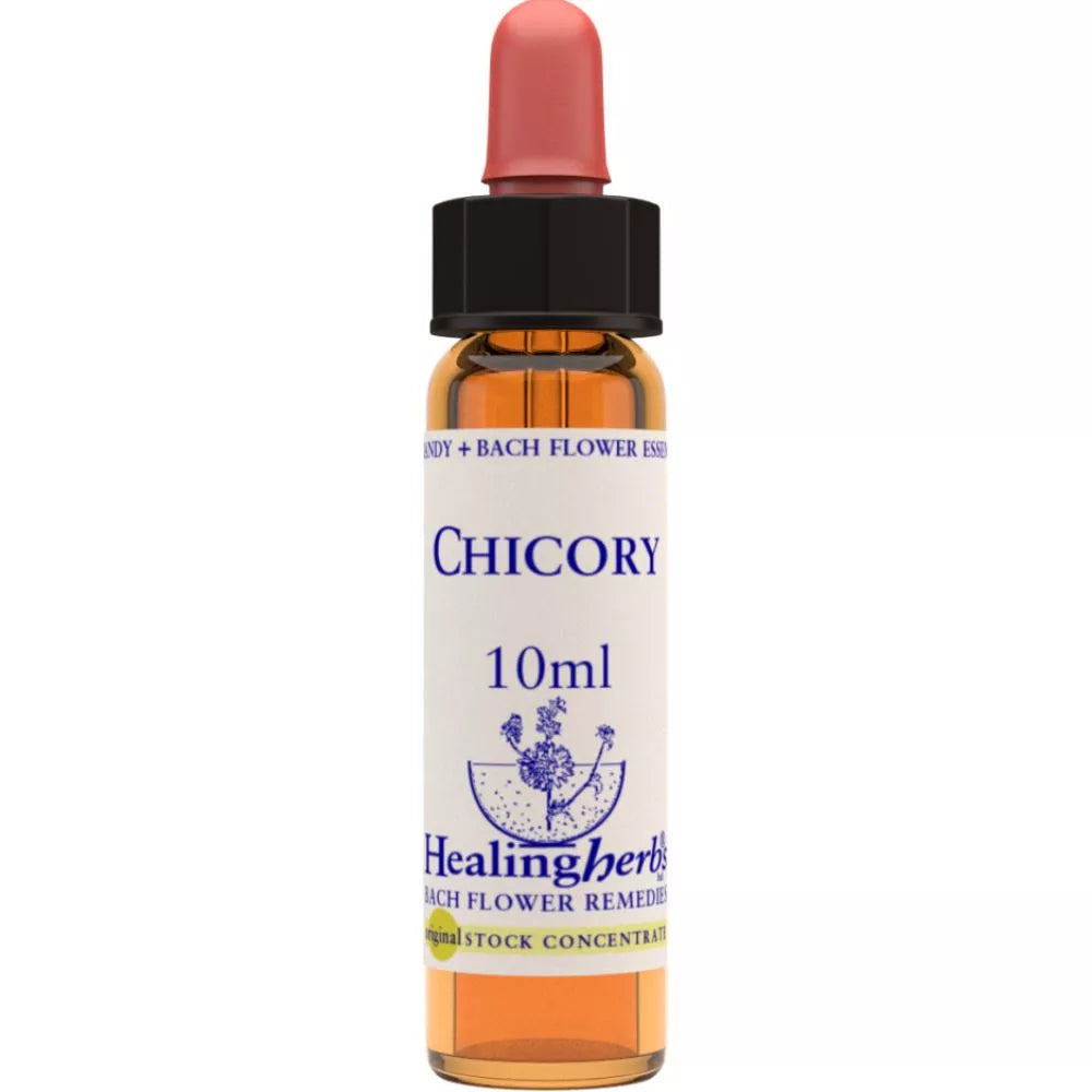 Healing Herbs Chicory
