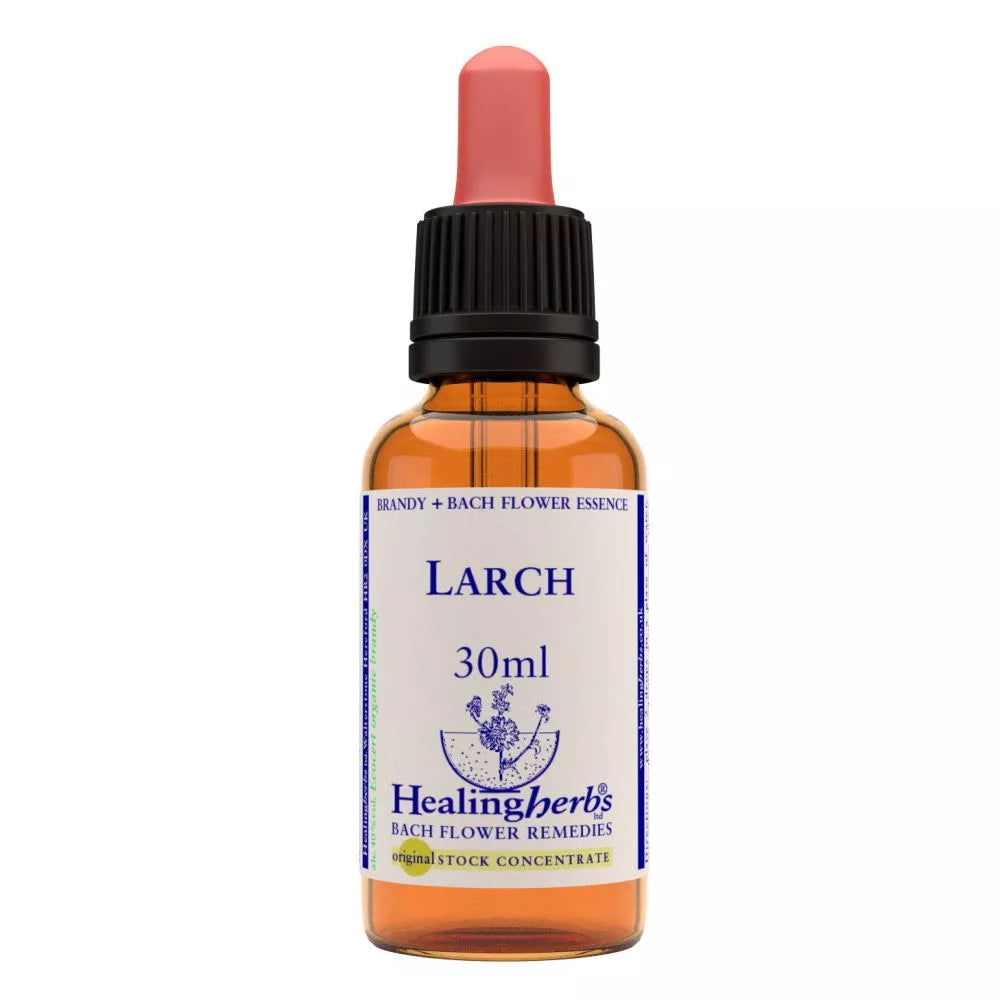 Healing Herbs Larch