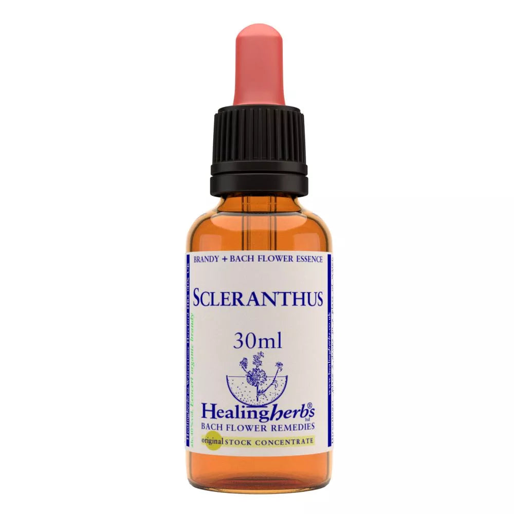 Healing Herbs Scleranthus