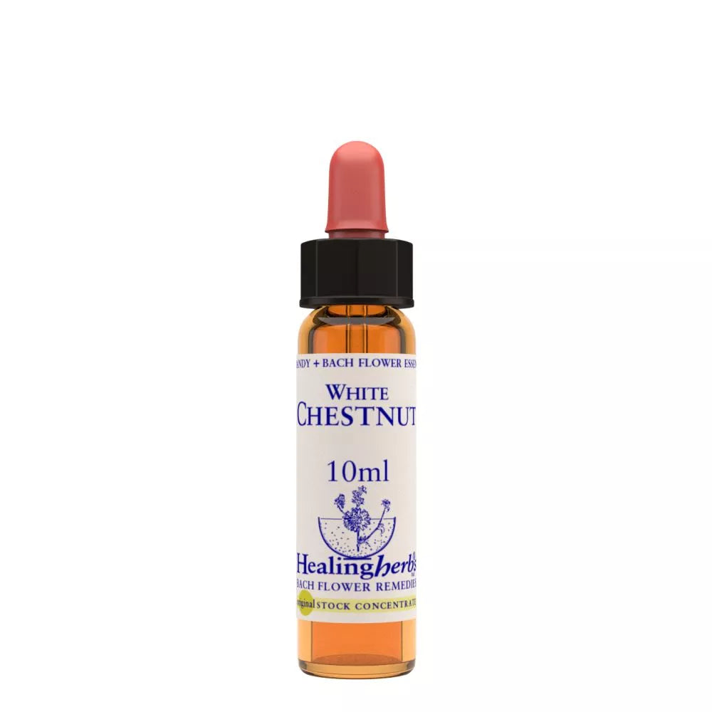 Healing Herbs White Chestnut