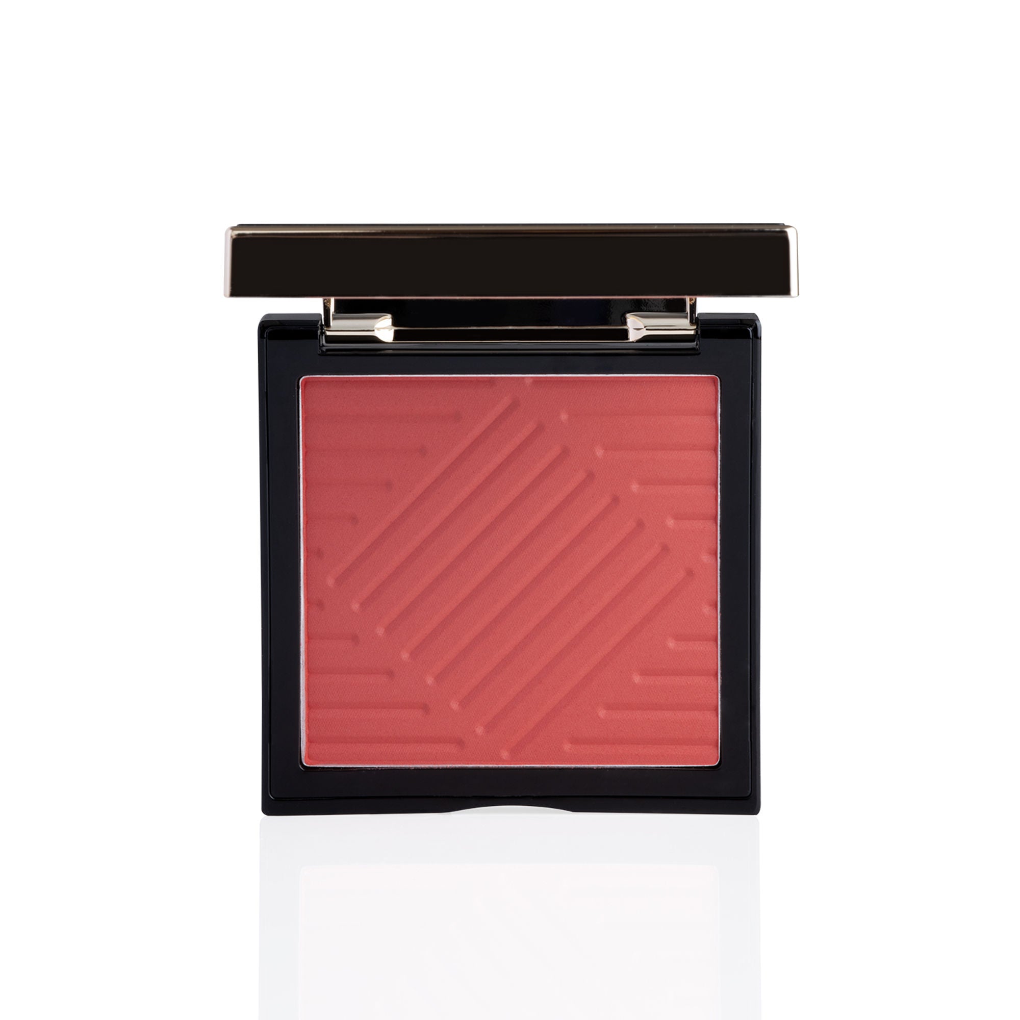 PAC Studio Spotlight Blush and Brush Combo