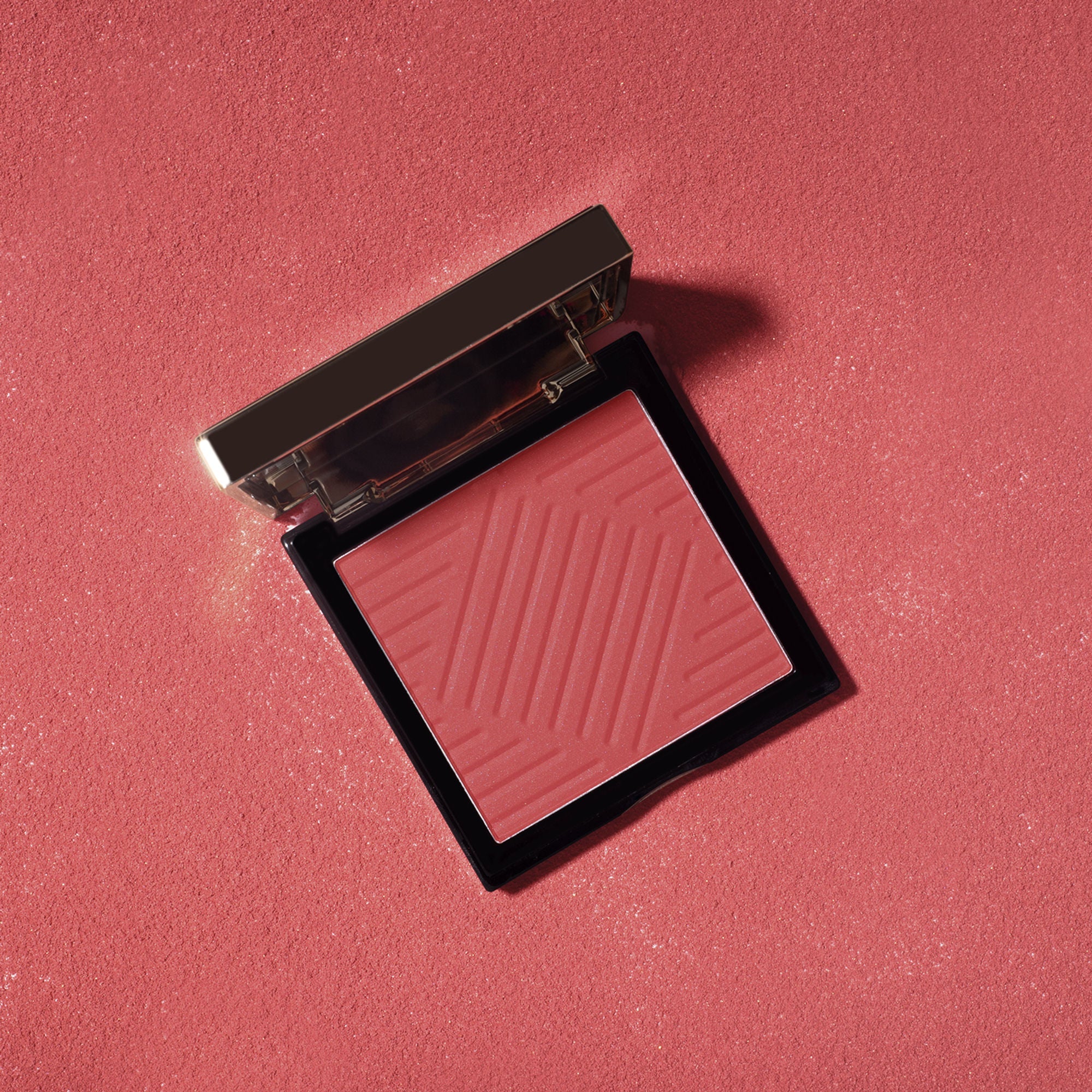 PAC Studio Spotlight Blush and Brush Combo