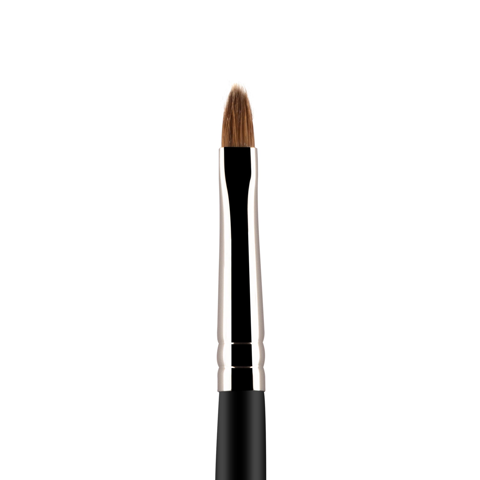 PAC Studio Lip Brush - 366