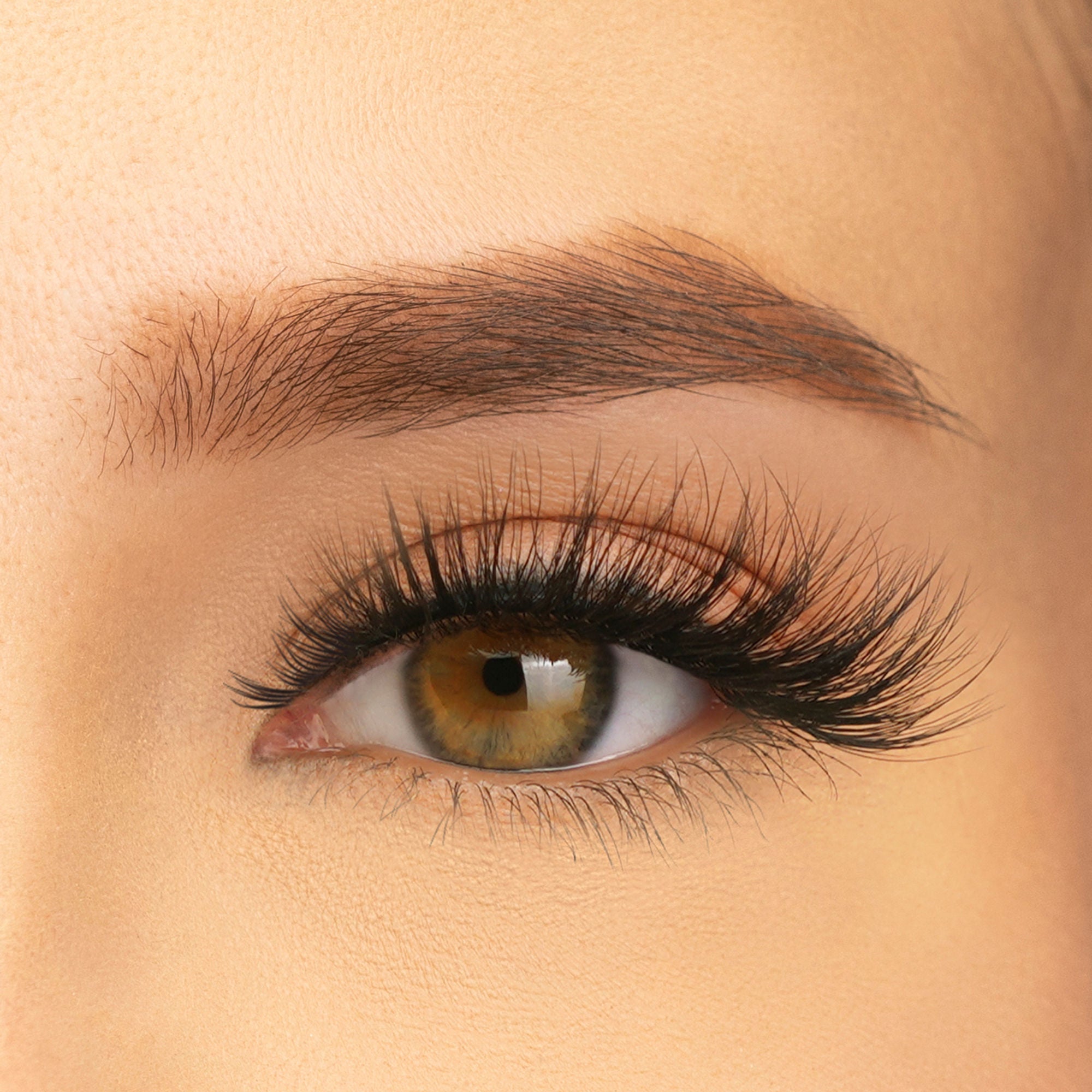 PAC Studio Ace Of Lashes - Full House