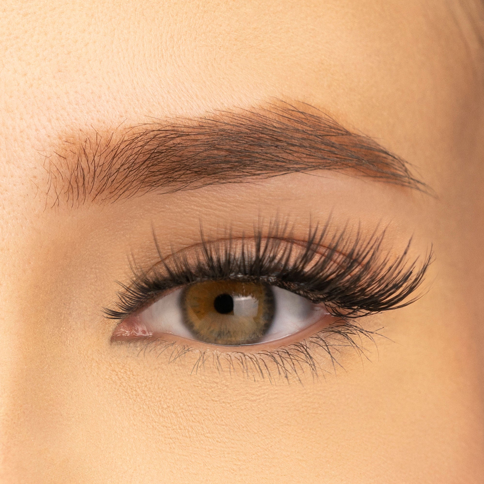PAC Studio Ace Of Lashes - Royal Flush