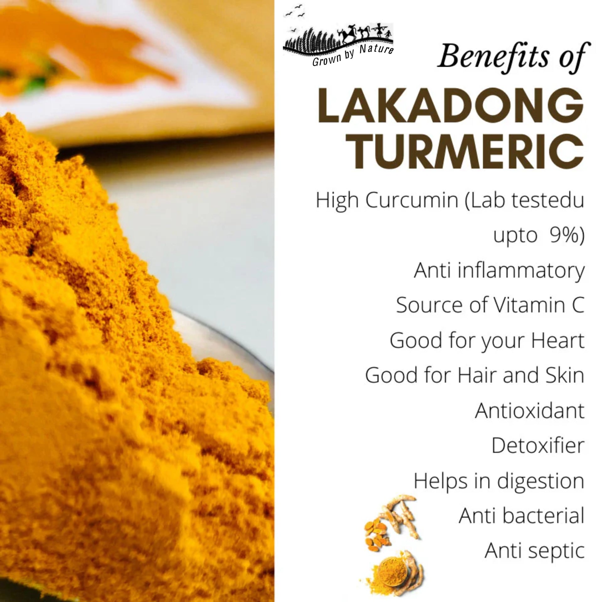 Etheric Foods Organic Lakadong Turmeric Powder 150 Gm (High Curcumin 9-12% II Meghalaya Turmeric II Turmeric For Medicine) (150 gm)