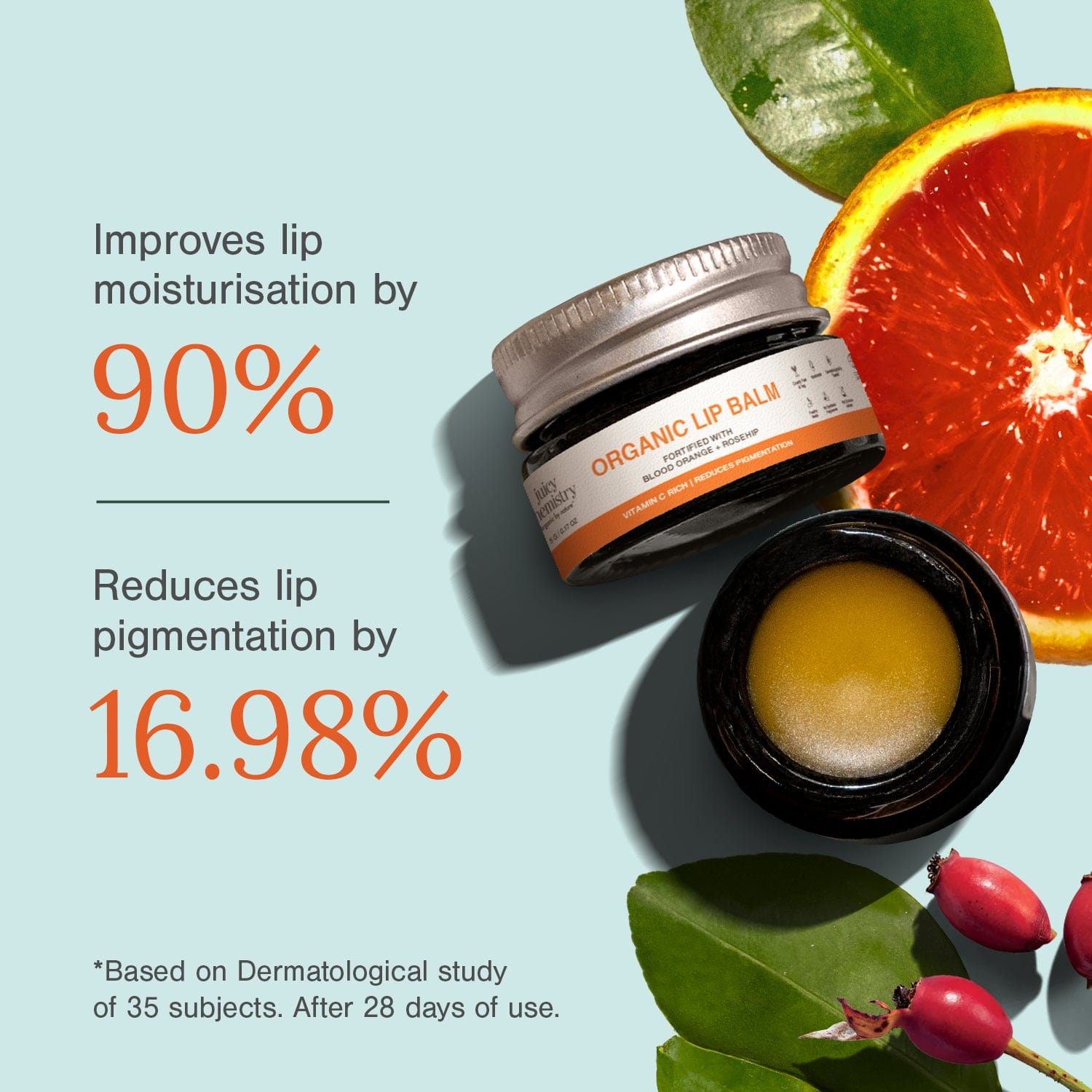 Organic Blood Orange & Rosehip Lip Balm for Dry & Pigmented Lips