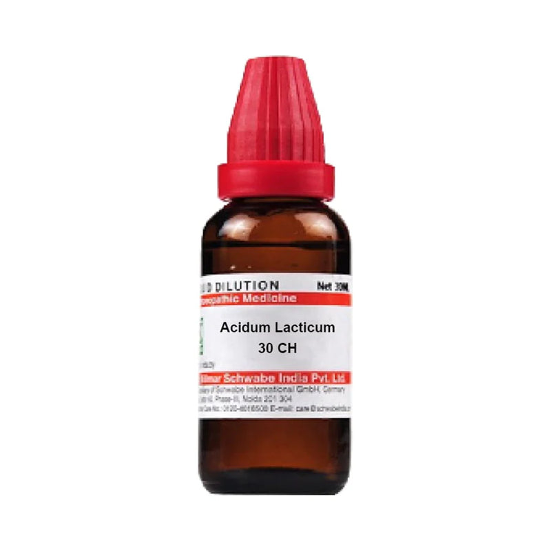 Dr. Willmar Schwabe India Acidum Lacticum Dilution