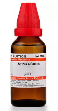 Dr. Willmar Schwabe India Acorus Calamus Mother Tincture Q