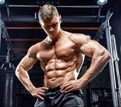 Vokin Biotech 100% Natural Max Power 800MG Testosterone Booster And Bodybuilding Supplement