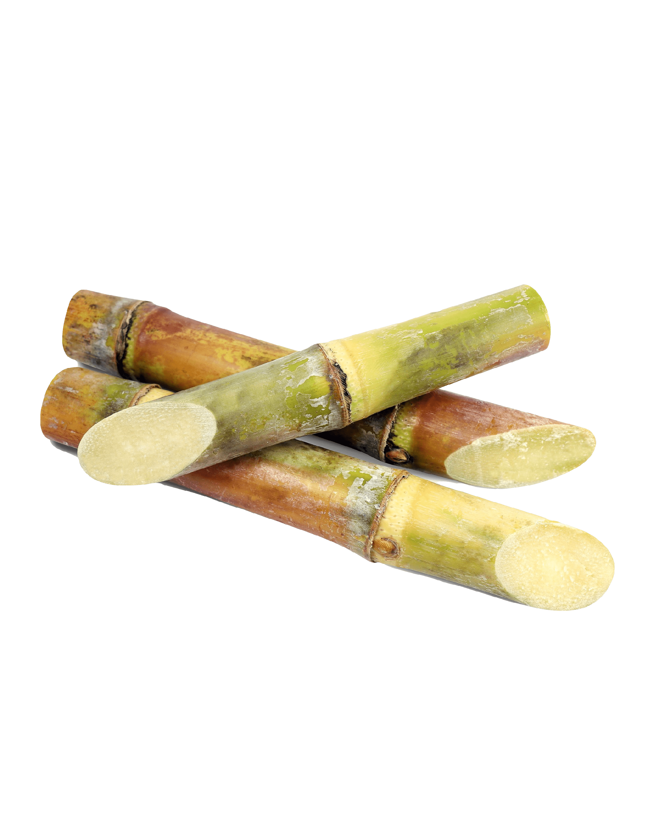 Sugarcane 1pc