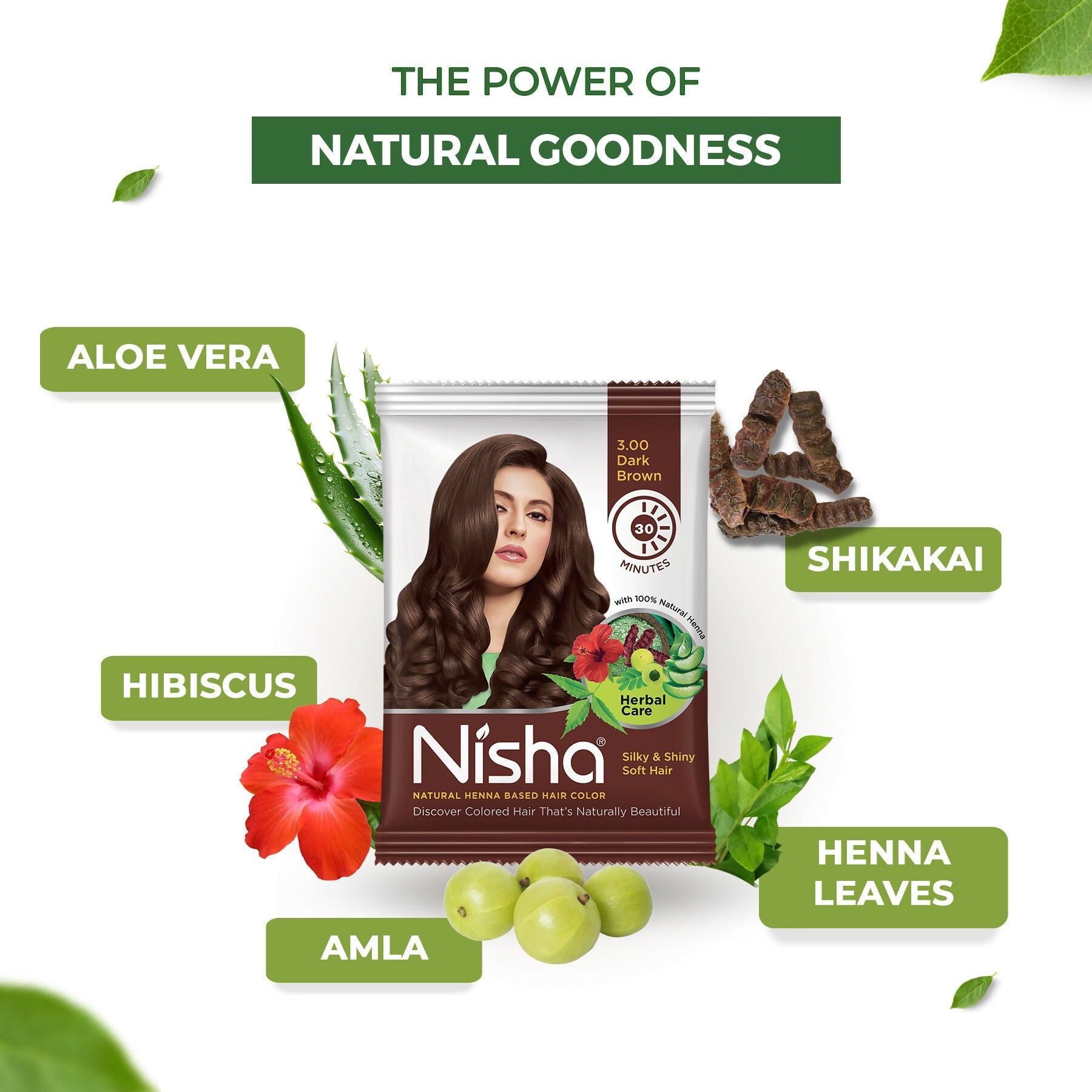 Nisha Henna Based Hair Colour for Women & Men - Dark Brown (Pack of 10)