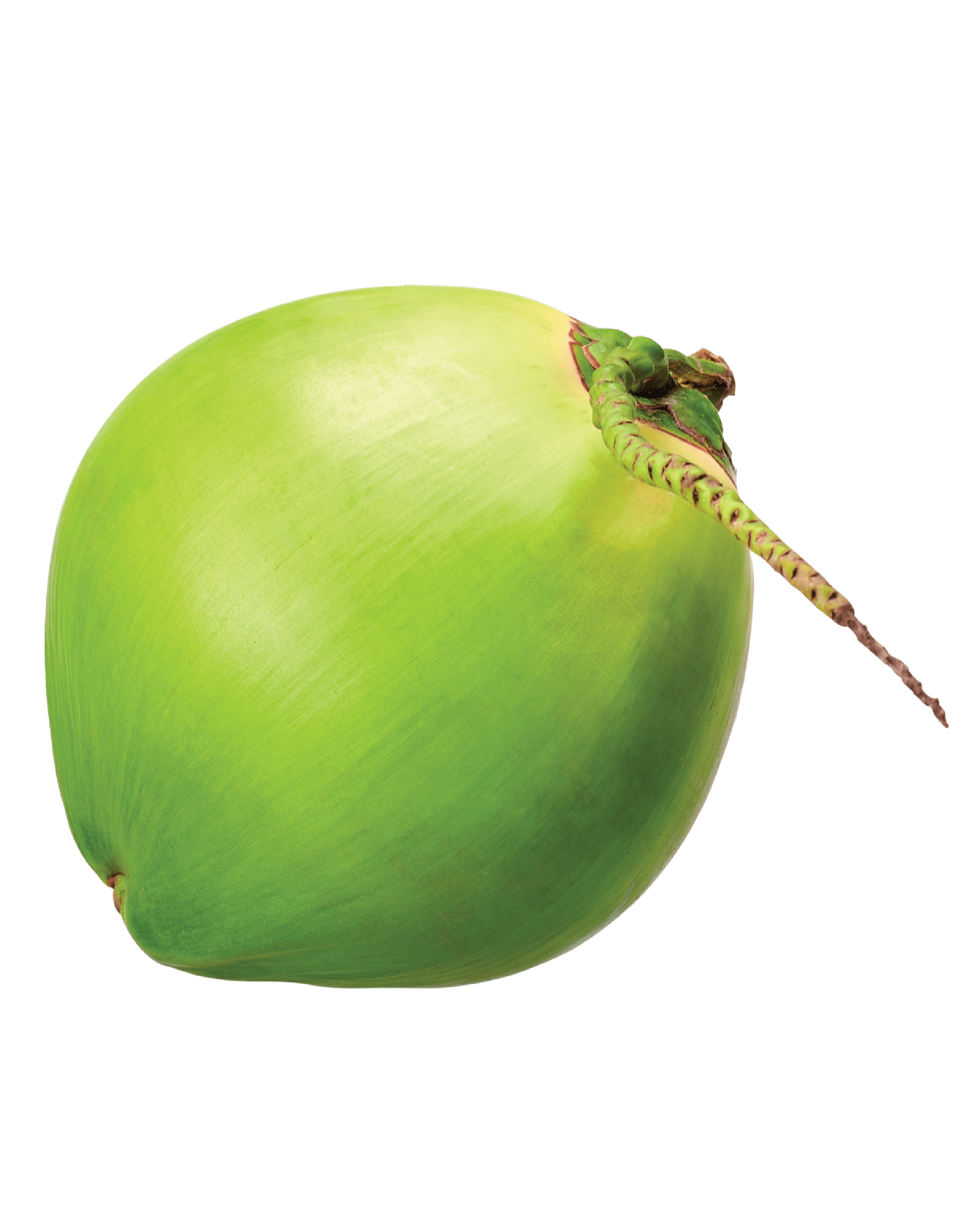 Green Coconut