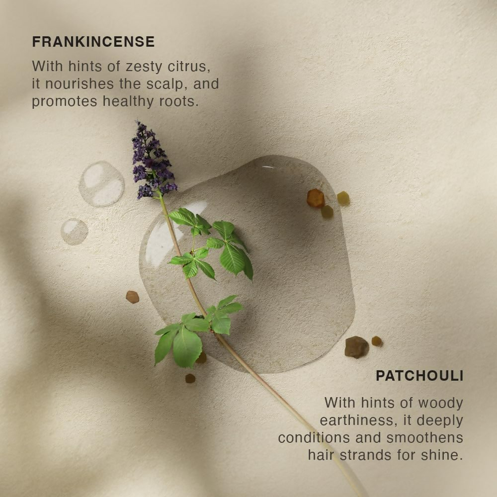 Vinci Botanicals Frankincense Patchouli Hair Cleanser