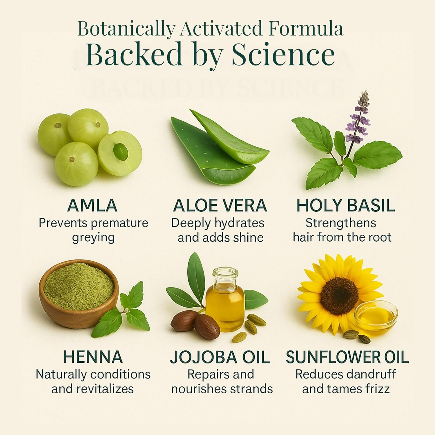 Sacred Herbs Ammonia & PPd Free Natural Organic Gel Dark Brown Hair Color For Men & Women