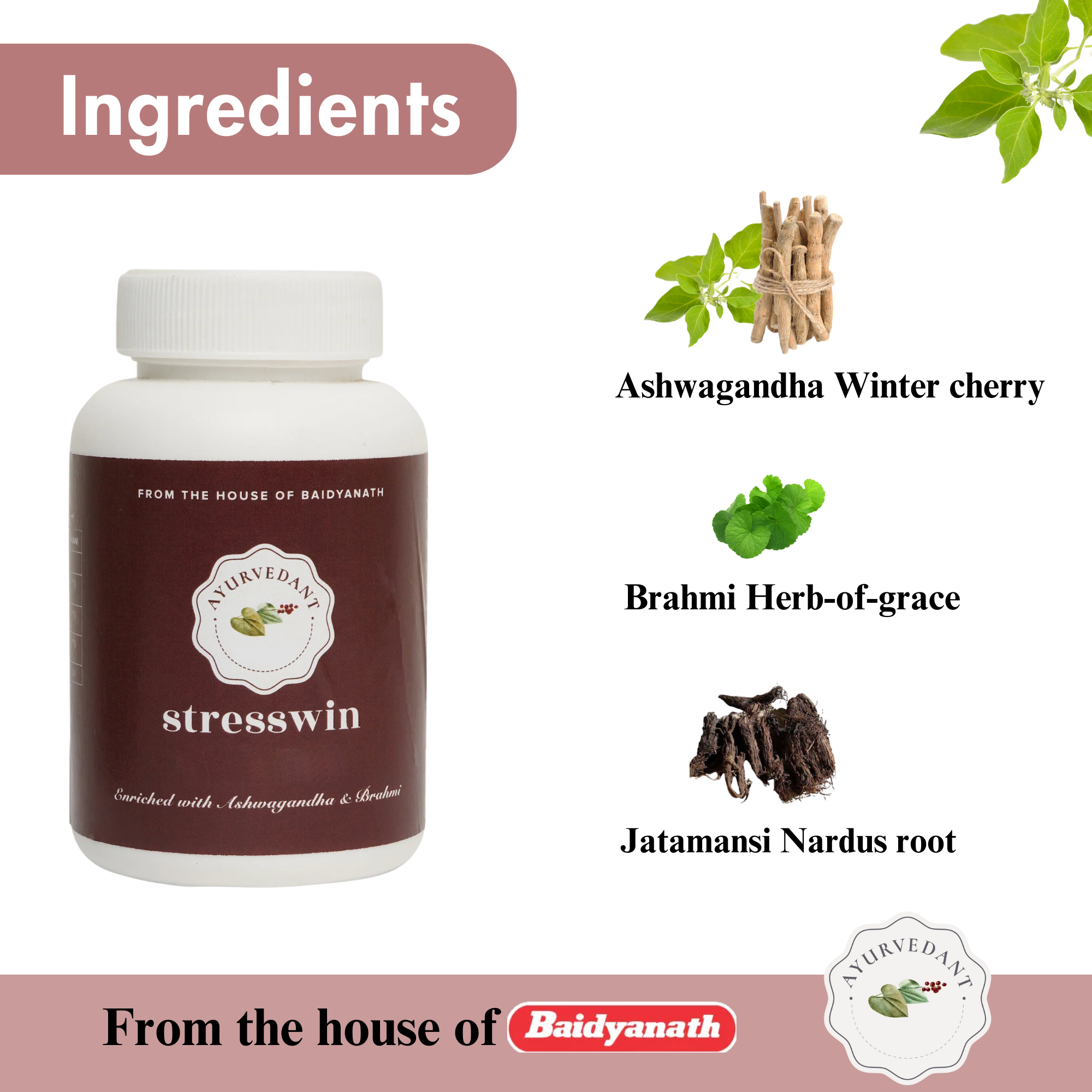 STRESSWIN - Image 2