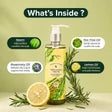 Mantra Neem and Tea Tree Oil Dandruff Removing Hair Cleanser