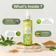 Mantra Rosemary, Tea Tree And Neem Clarifying Hair Oil