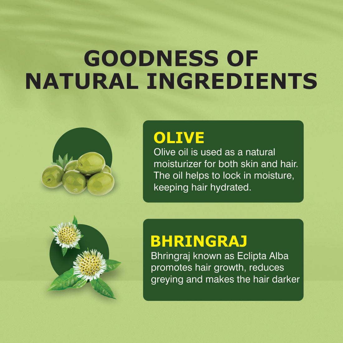 Nuerma Science Olive Bhringraj  Oil