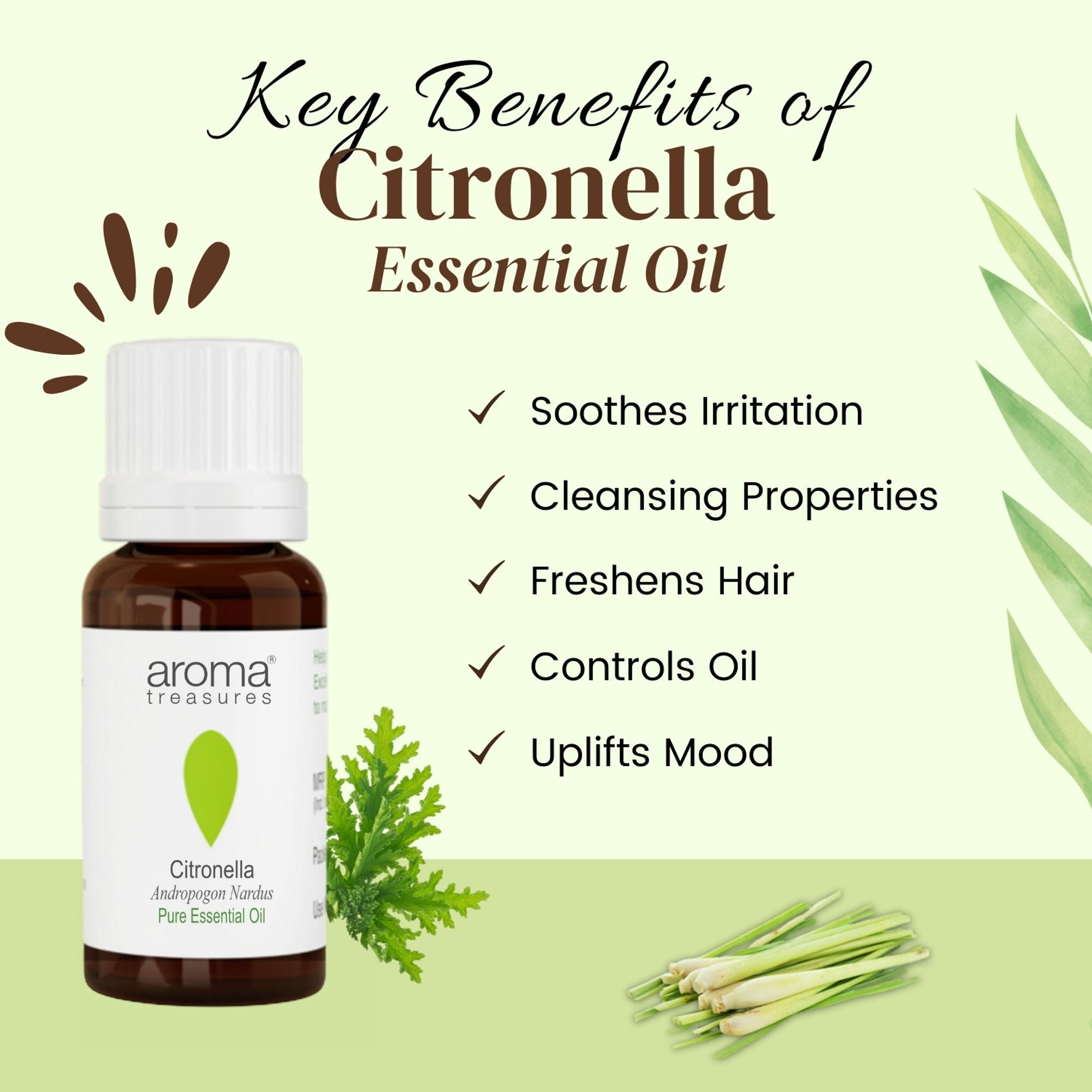 Aroma Treasures Citronella Pure Essential Oil