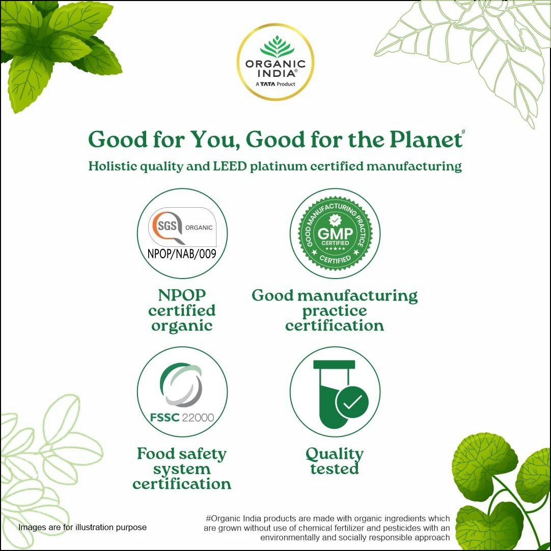 Organic India Sat Isabgol Psyllium Whole Husk Powder