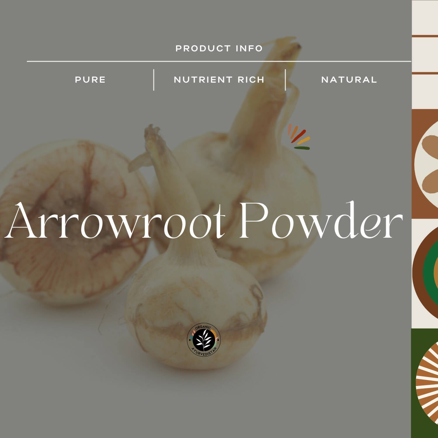 Organic Ayurveprithvin Arrow Root Powder