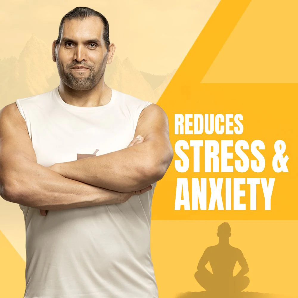 Upakarma Ayurveda Pure Sj Effervescent Tablets - Blueberry -20 tabs