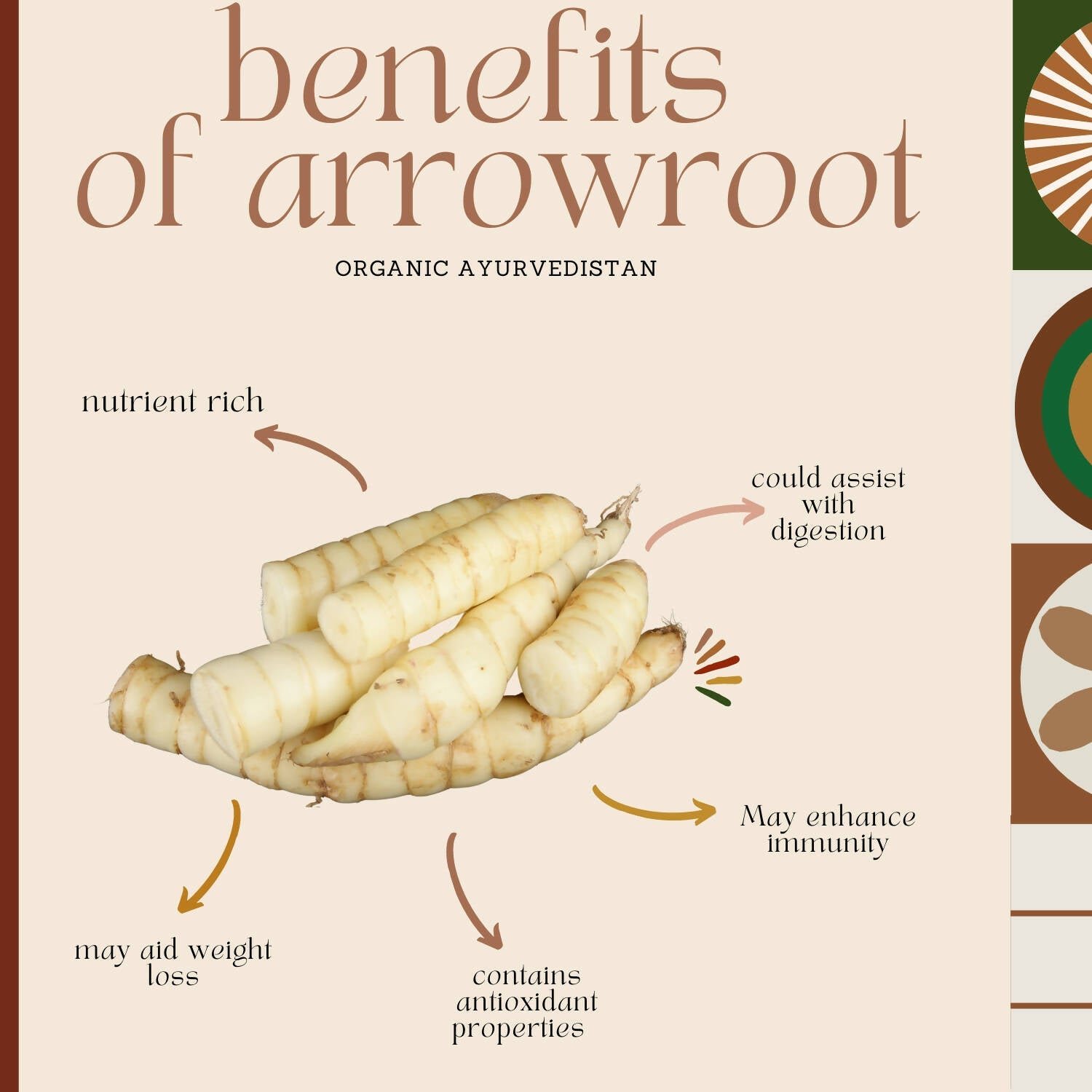 Organic Ayurveprithvin Arrow Root Powder