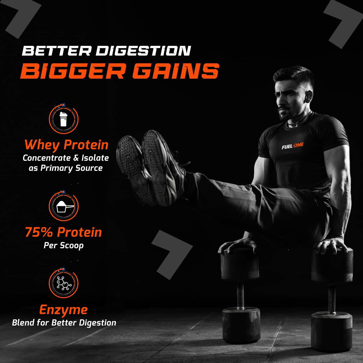 FUELONE Whey Max - Chocolate and Creatine Monohydrate Combo