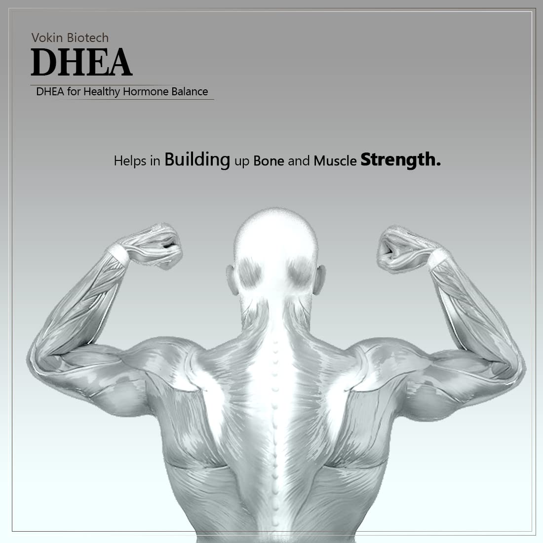 Vokin Biotech DHEA 50mg | Supports Healthy Mood |