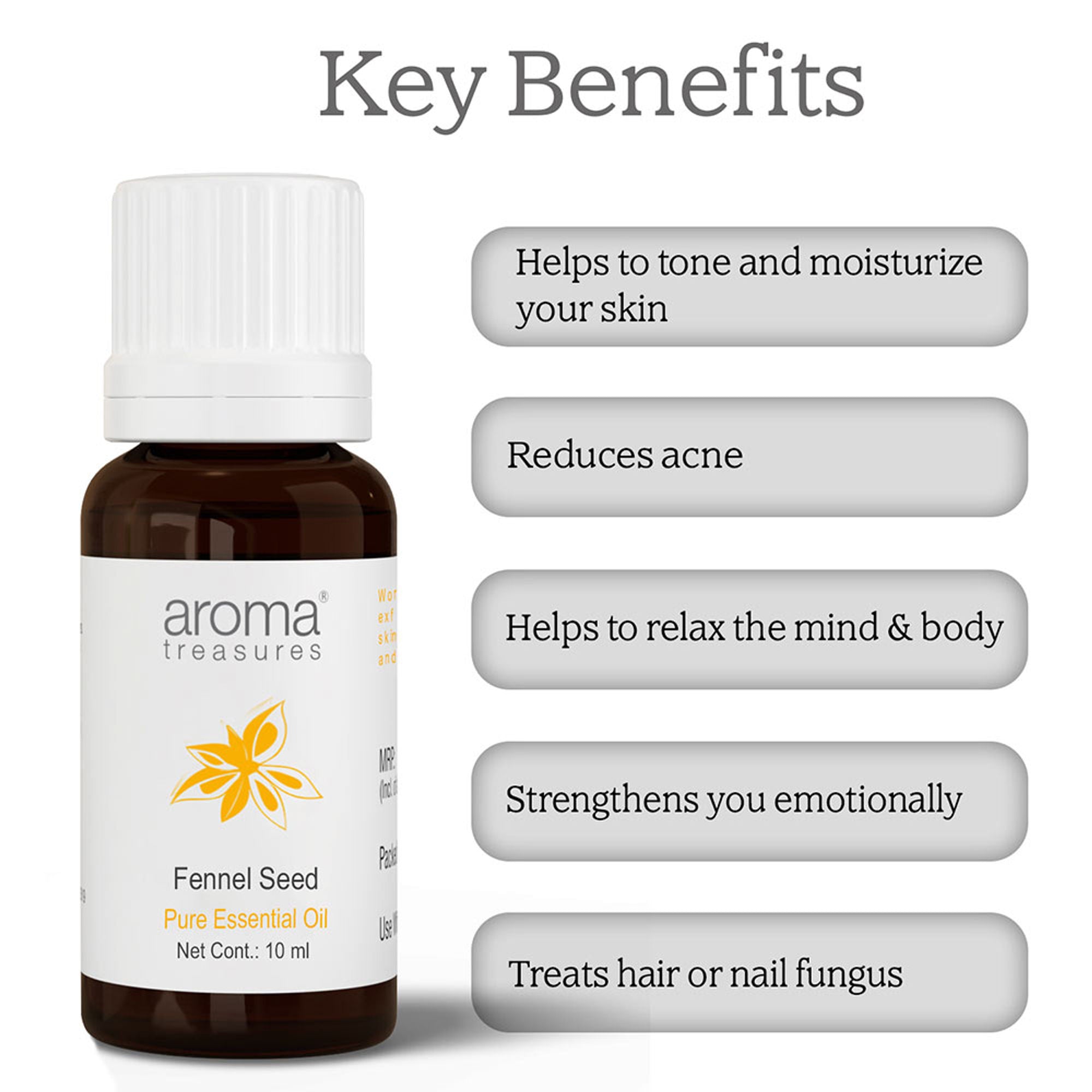 Aroma Treasures Fennel Seed Pure Essential Oil