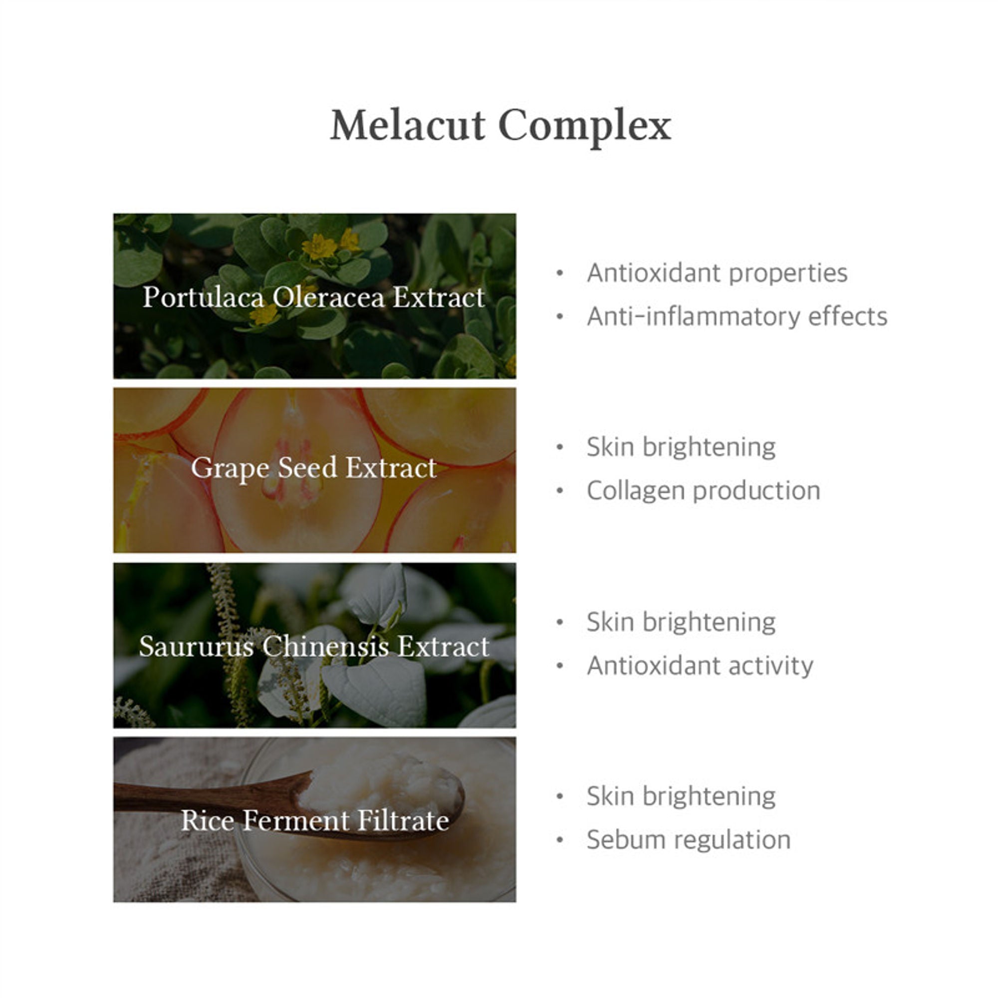 Dr.Althea 15% Niacinamide Purity Serum: High-Potency Serum for Oil Control & Pores