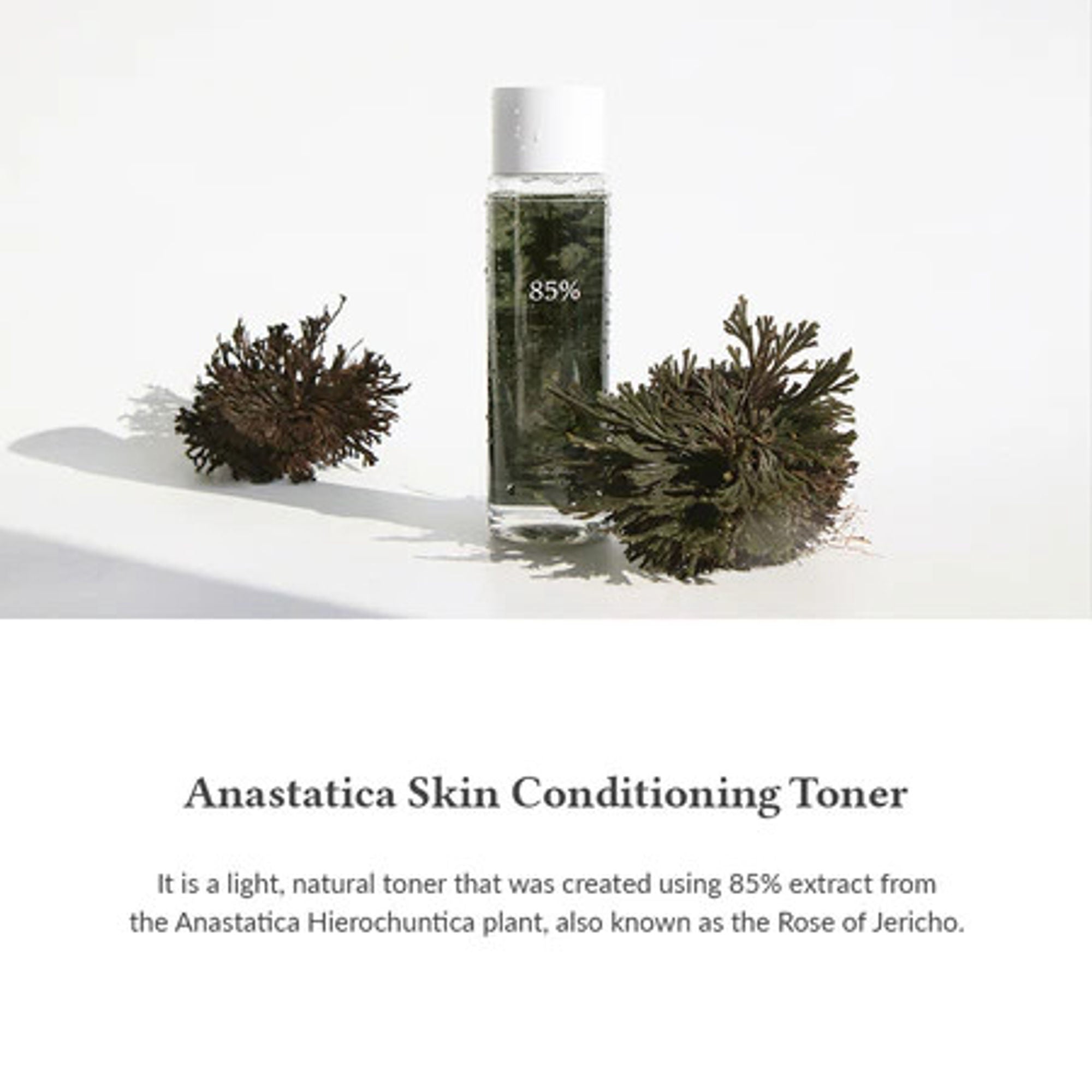 Dr.Althea Resurrection Plant Conditioning Toner: Hydrating & Skin Barrier Repair Toner
