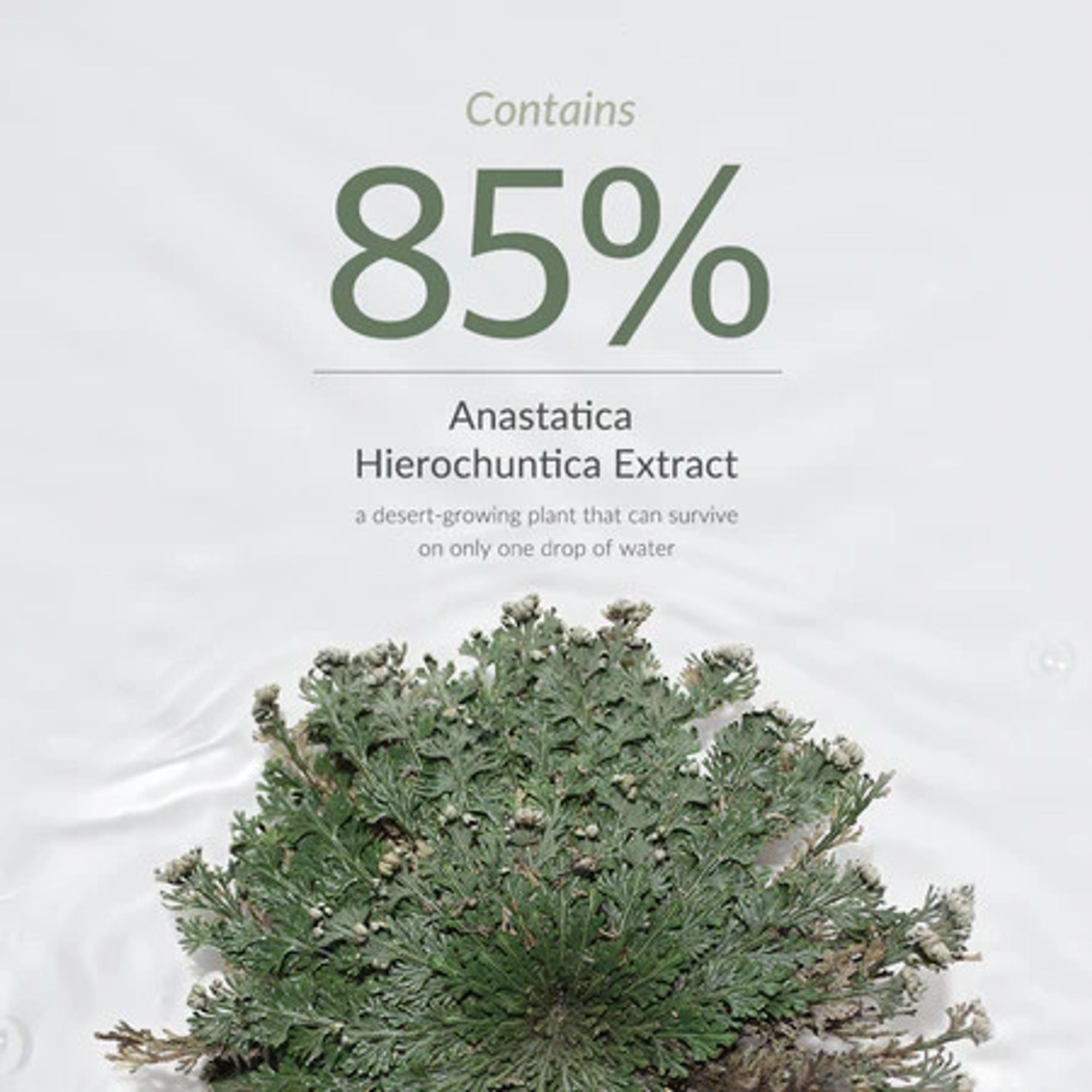 Dr.Althea Resurrection Plant Conditioning Toner: Hydrating & Skin Barrier Repair Toner