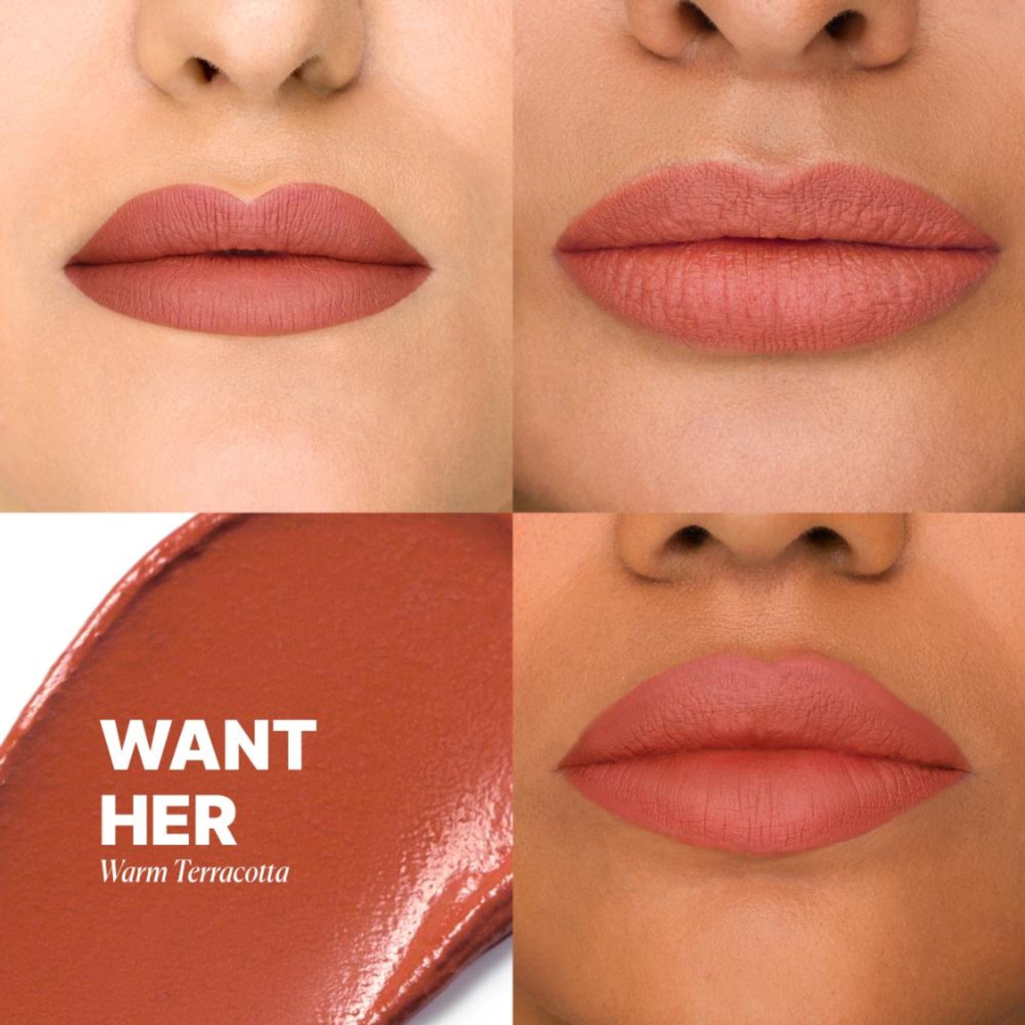 IRIS COSMETICS Matte Made Her Do It Liquid Lipstick - Warm Terracotta