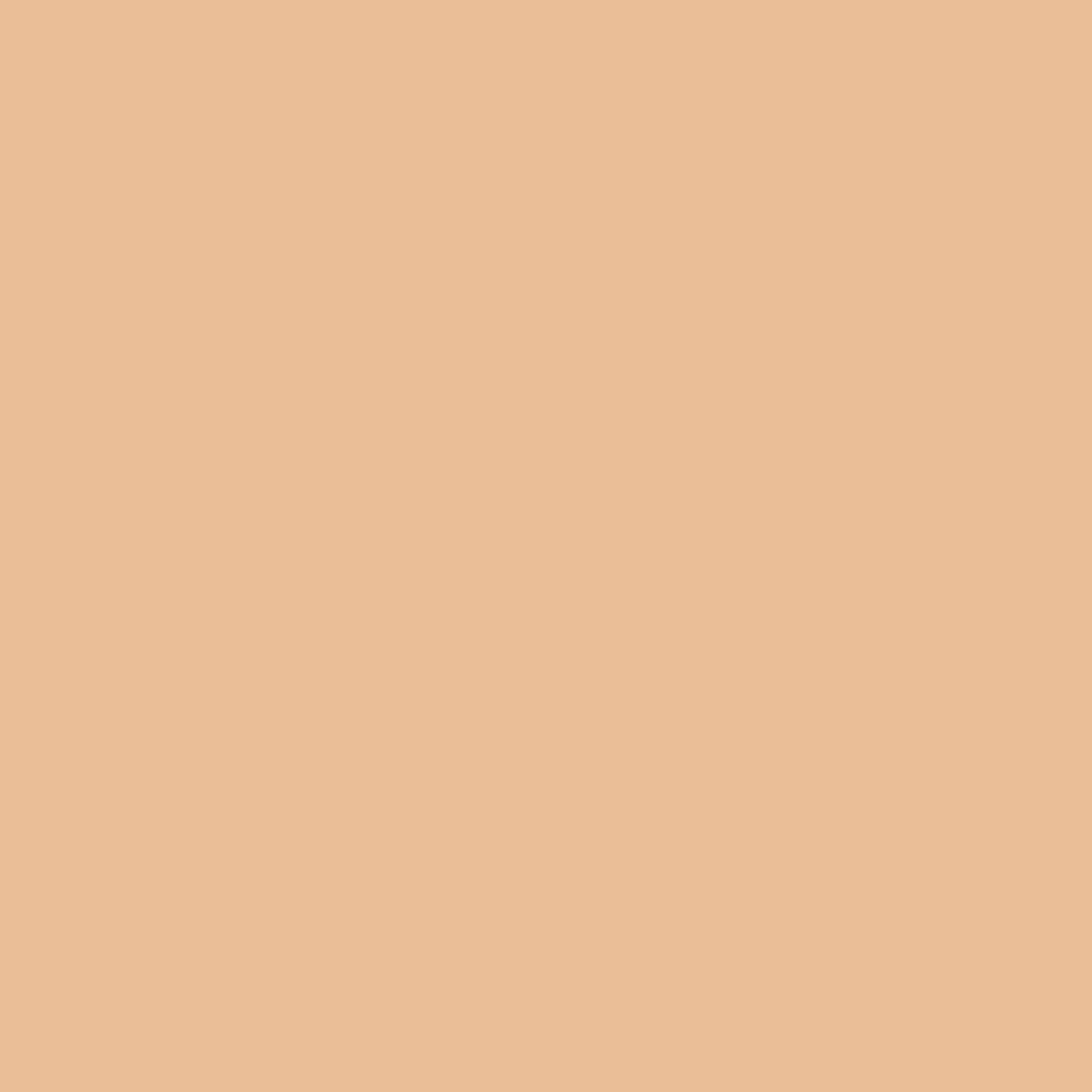 Shopaarel Extra Blend Matte Foundation - 2
