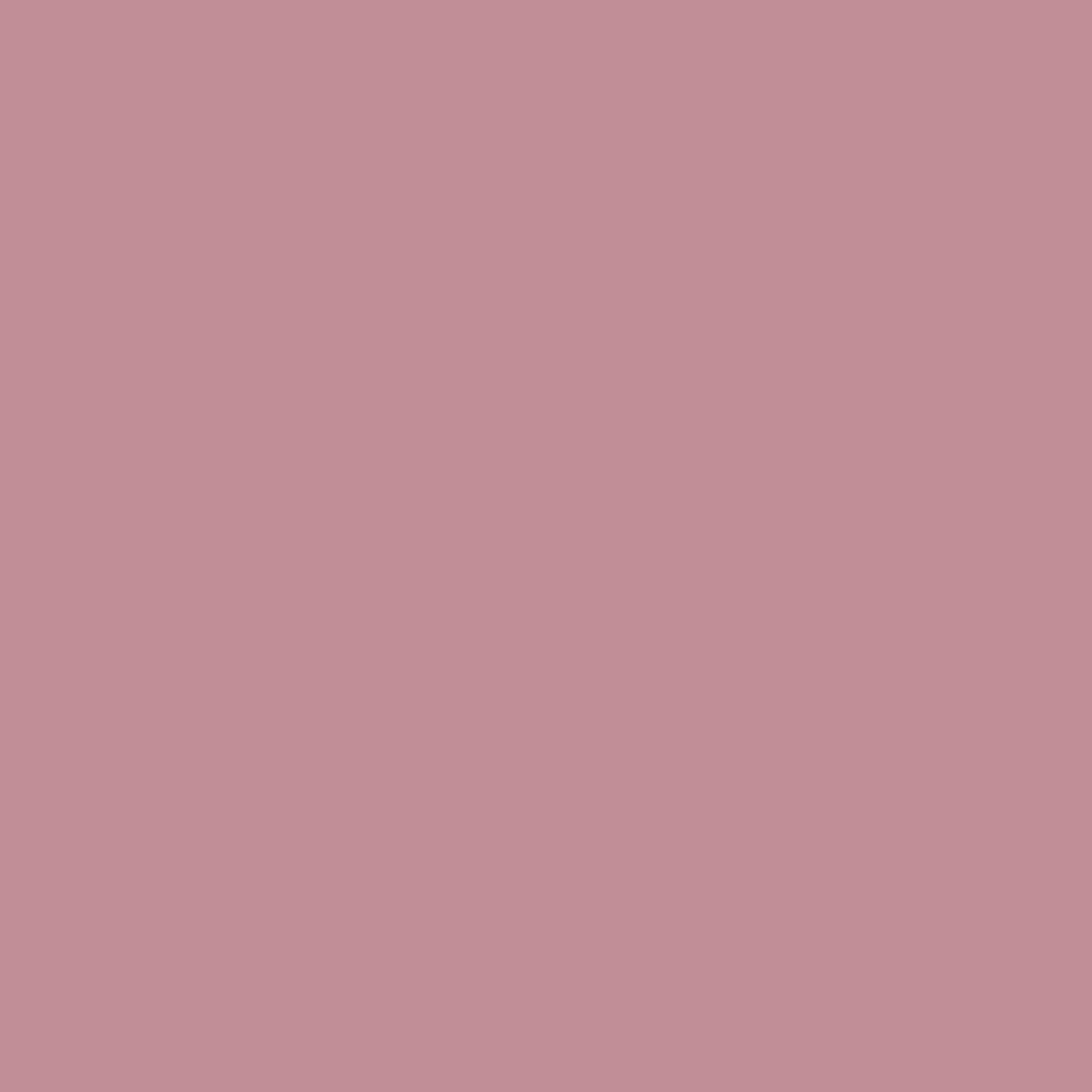 Shopaarel Silky Matte Gloss Liquid Lipstick - Bomb-11